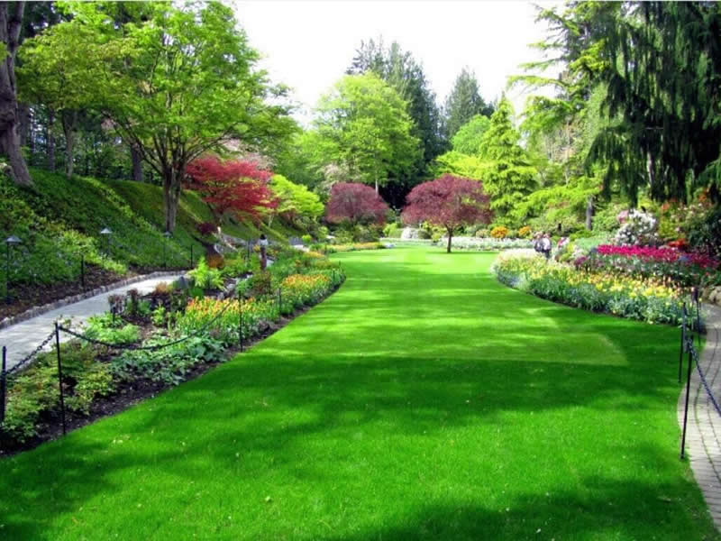 綠化種植土檢測