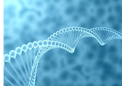 納米應用行業應用